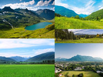 �G�ݑ����L(f��ng)���Ĕz����DƬ